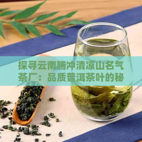 探寻云南腾冲清凉山名气茶厂：品质普洱茶叶的秘境之地