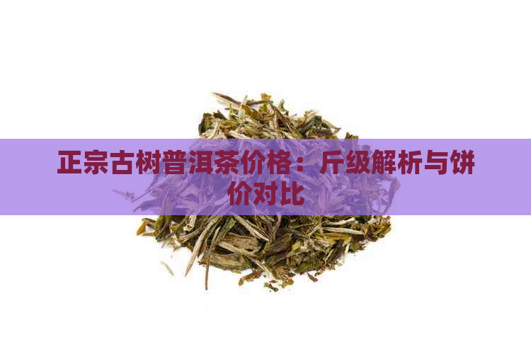 正宗古树普洱茶价格：斤级解析与饼价对比