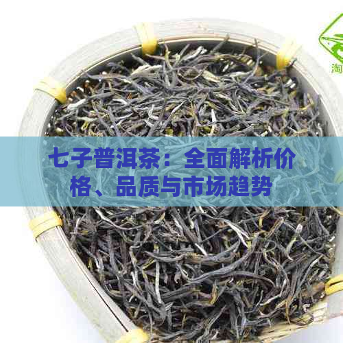 七子普洱茶：全面解析价格、品质与市场趋势