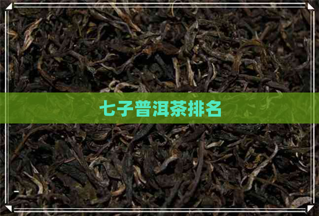 七子普洱茶排名