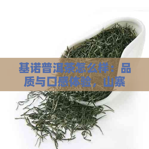 基诺普洱茶怎么样：品质与口感体验，山寨版与正品对比