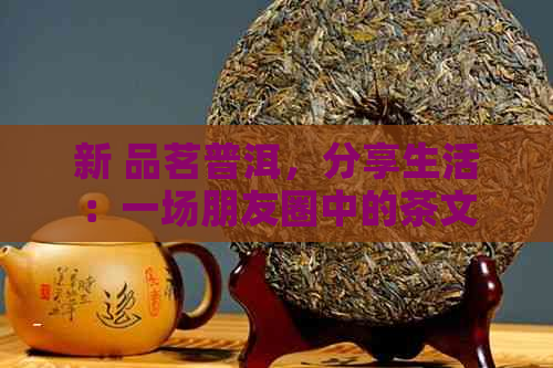 新 品茗普洱，分享生活：一场朋友圈中的茶文化宴