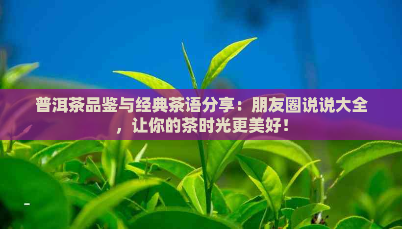 普洱茶品鉴与经典茶语分享：朋友圈说说大全，让你的茶时光更美好！