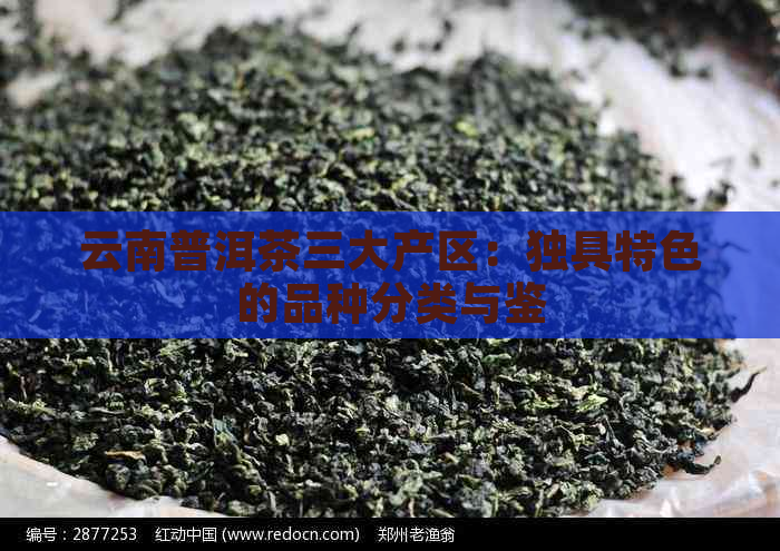 云南普洱茶三大产区：独具特色的品种分类与鉴