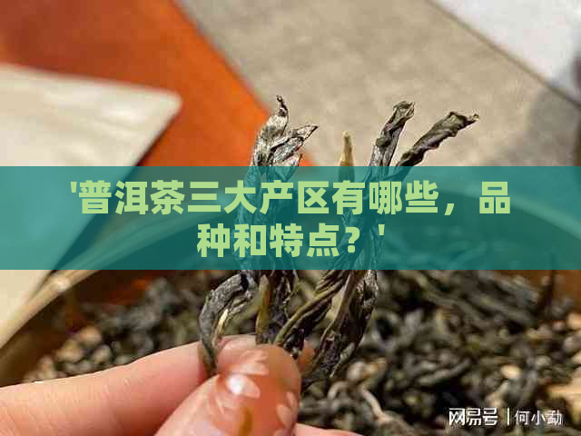 '普洱茶三大产区有哪些，品种和特点？'