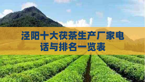 泾阳十大茯茶生产厂家电话与排名一览表