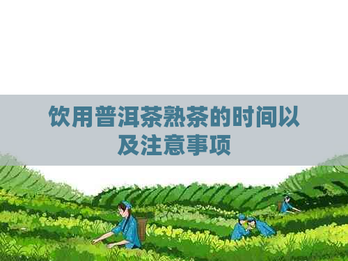 饮用普洱茶熟茶的时间以及注意事项