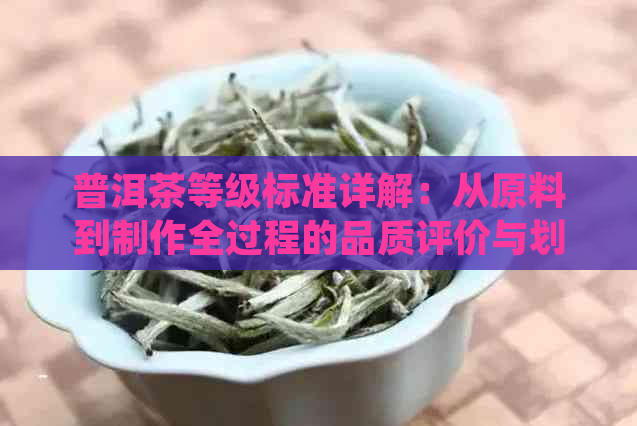 普洱茶等级标准详解：从原料到制作全过程的品质评价与划分