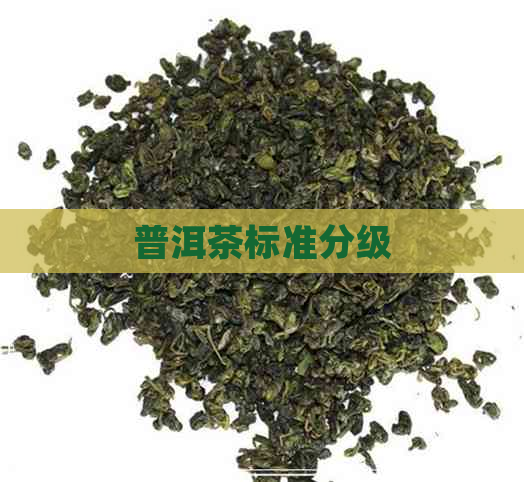 普洱茶标准分级