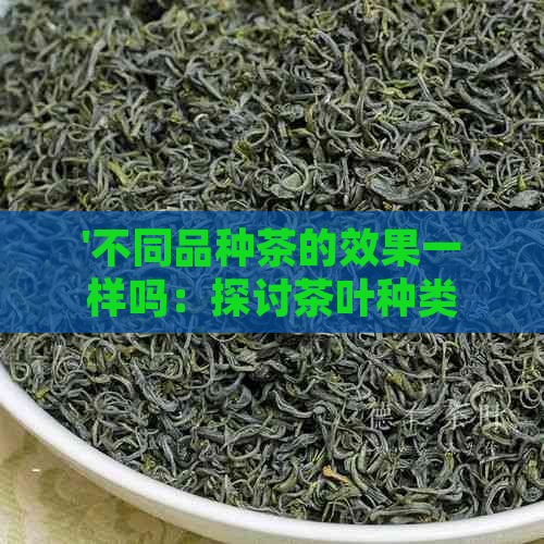 '不同品种茶的效果一样吗：探讨茶叶种类的功效差异'