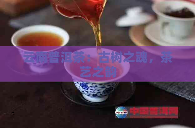 云南普洱茶：古树之魂，茶艺之韵