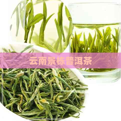 云南景栋普洱茶