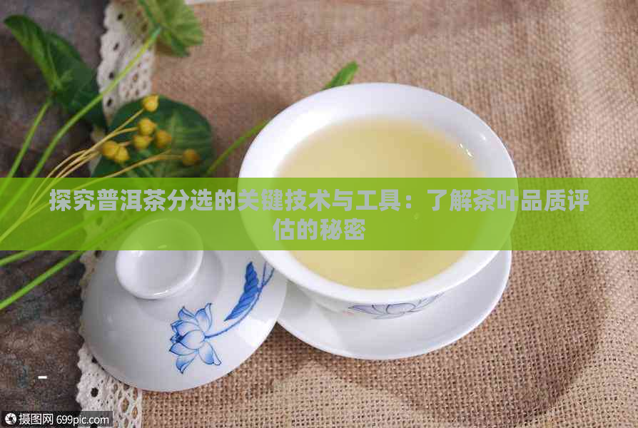 探究普洱茶分选的关键技术与工具：了解茶叶品质评估的秘密