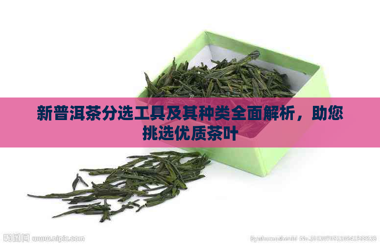 新普洱茶分选工具及其种类全面解析，助您挑选优质茶叶