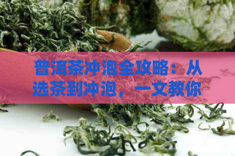 普洱茶冲泡全攻略：从选茶到冲泡，一文教你如何使用分茶器具