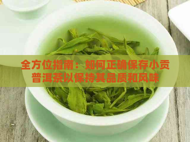 全方位指南：如何正确保存小贡普洱茶以保持其品质和风味