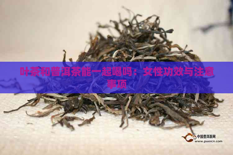 叶茶和普洱茶能一起喝吗：女性功效与注意事项