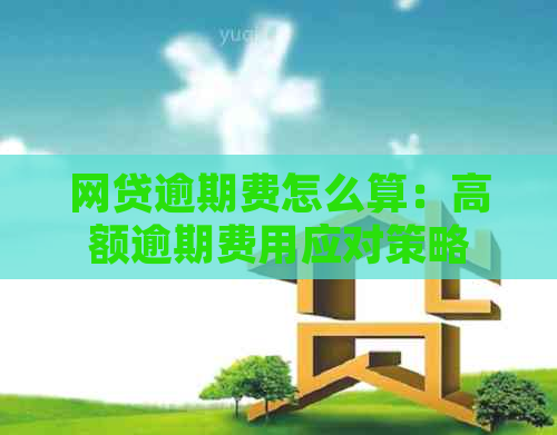 网贷逾期费怎么算：高额逾期费用应对策略