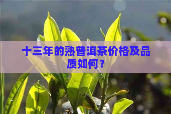 十三年的熟普洱茶价格及品质如何？