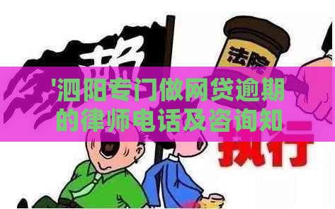 '泗阳专门做网贷逾期的律师电话及咨询知名律师有哪些'