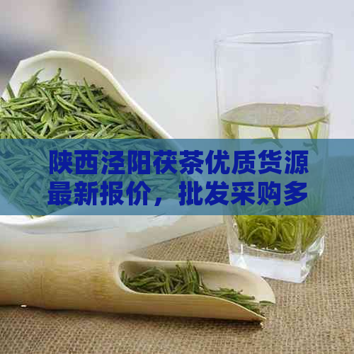 陕西泾阳茯茶优质货源最新报价，批发采购多少钱一斤？