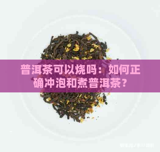 普洱茶可以烧吗：如何正确冲泡和煮普洱茶？