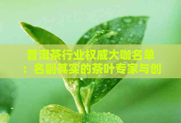 普洱茶行业权威大咖名单：名副其实的茶叶专家与创新者