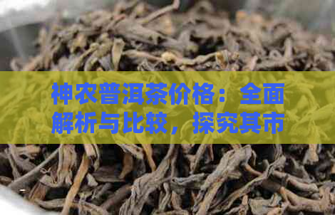 神农普洱茶价格：全面解析与比较，探究其市场趋势及价值