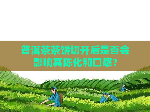 普洱茶茶饼切开后是否会影响其陈化和口感？