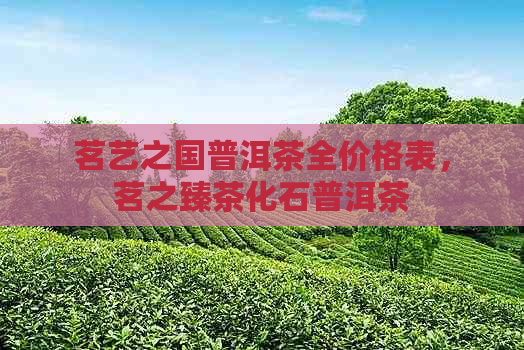 茗艺之国普洱茶全价格表，茗之臻茶化石普洱茶