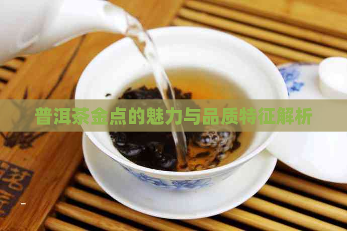 普洱茶金点的魅力与品质特征解析