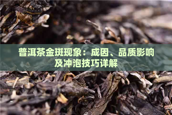 普洱茶金斑现象：成因、品质影响及冲泡技巧详解