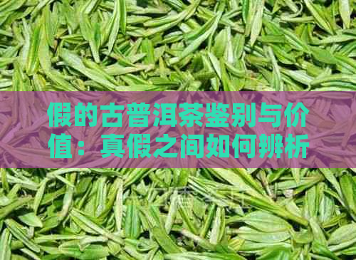 假的古普洱茶鉴别与价值：真假之间如何辨析？