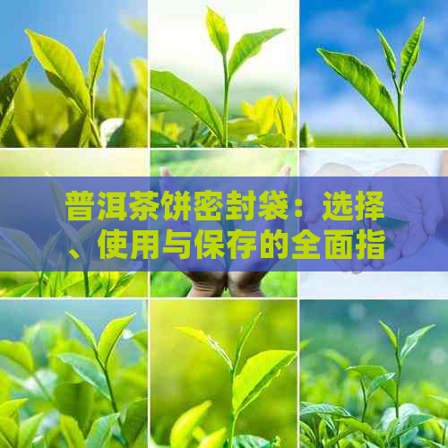 普洱茶饼密封袋：选择、使用与保存的全面指南