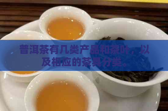 普洱茶有几类产品和茶叶，以及相应的茶具分类。