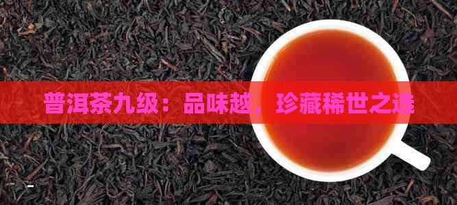 普洱茶九级：品味越，珍藏稀世之选