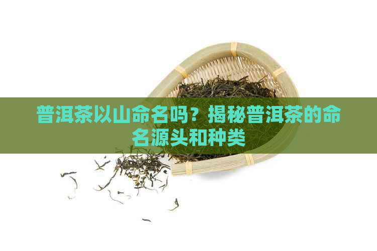 普洱茶以山命名吗？揭秘普洱茶的命名源头和种类