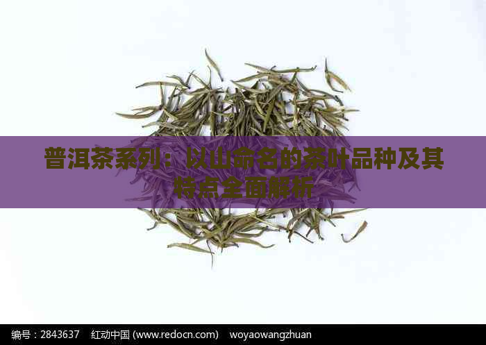 普洱茶系列：以山命名的茶叶品种及其特点全面解析