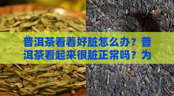 普洱茶看着好脏怎么办？普洱茶看起来很脏正常吗？为什么普洱茶看着这么脏？