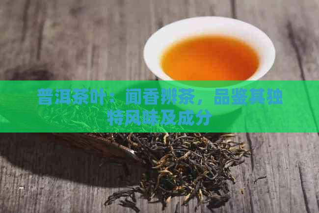 普洱茶叶：闻香辨茶，品鉴其独特风味及成分