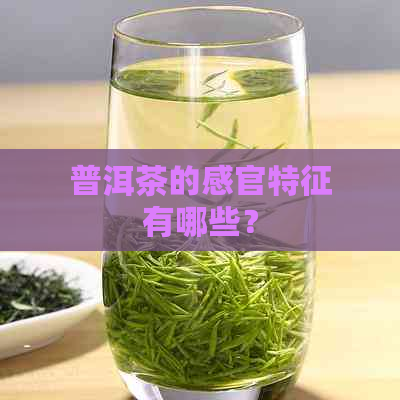 普洱茶的感官特征有哪些？