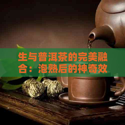 生与普洱茶的完美融合：泡熟后的神奇效果和注意事项