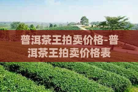 普洱茶王拍卖价格-普洱茶王拍卖价格表