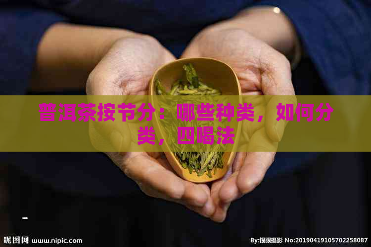 普洱茶按节分：哪些种类，如何分类，四喝法