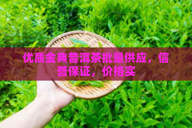 优质金典普洱茶批量供应，信誉保证，价格实