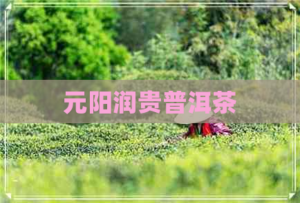 元阳润贵普洱茶