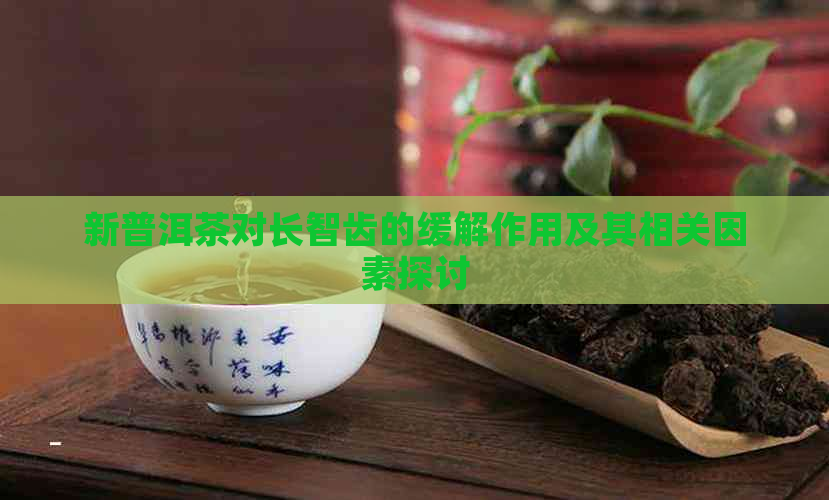 新普洱茶对长智齿的缓解作用及其相关因素探讨