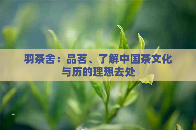 羽茶舍：品茗、了解中国茶文化与历的理想去处