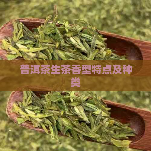 普洱茶生茶香型特点及种类