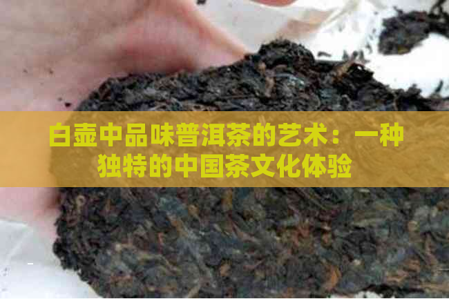 白壶中品味普洱茶的艺术：一种独特的中国茶文化体验